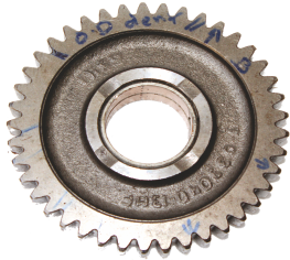 SITL-1679 DOG GEAR 41-25 BIG HEIGHT (6487)