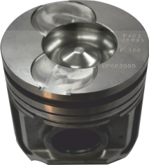 SITL- 2180 PISTON 100 MOLYCOATED (203403065A)