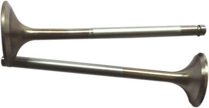 SITL- 2191 ENGINE VALVE (100) (5001A)