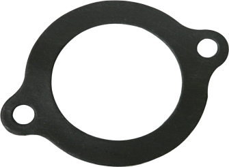 SITL-2510 GASKET FOR PTO END COVER (8316A)