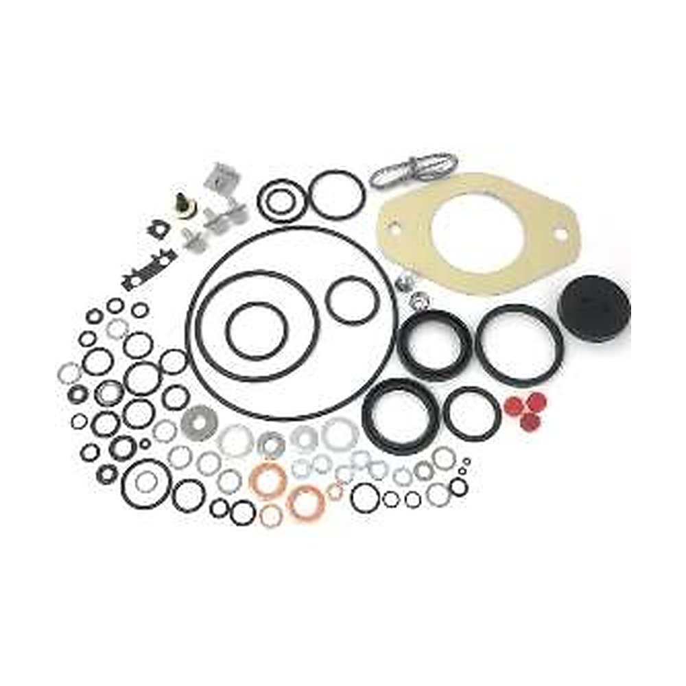 21055 FUEL PUMP REPAIR KIT DELPHI